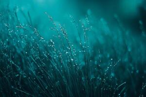 A mesmerizing closeup view of vibrant turquoise grass sprinkled with glistening dew drops, which come together to create an ethereal and exceptionally soothing ambiance that captivates the senses photo