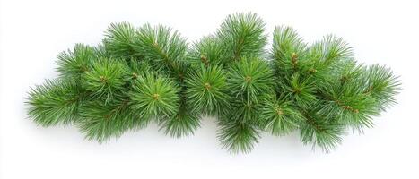 A lush green fir garland of fresh pine and spruce, perfect for enhancing festive decorations. Ideal for interior and exterior holiday decor, it creates a warm, inviting atmosphere photo
