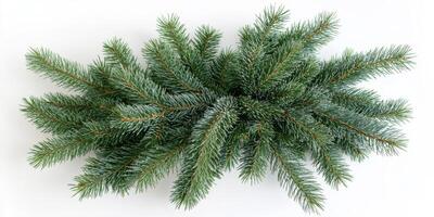 This lush green fir garland is perfect for holiday decorations, adding a charming touch of nature to both interior and exterior spaces for all your celebrations and festive gatherings photo