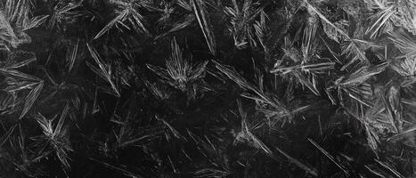 This captivating image captures the intricate and delicate frost patterns that form on a polycarbonate surface, beautifully showcasing the remarkable and enchanting beauty of winters icy touch photo