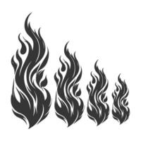 A set of four different types of fire flames vector