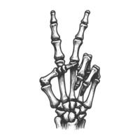A drawing of a skeleton hand with two fingers up vector
