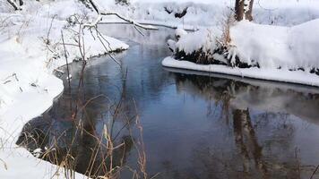Flowing river in a snowy winter forest. Branches of trees covered with fresh snow on sunny frosty day video