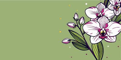 Orchids on a green background vector