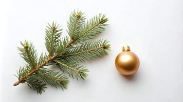 Single Pine Branch with Gold Ornament on a White Background photo