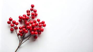 Minimalist Red Berry Cluster on White Background photo