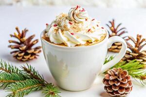 A cup of hot chocolate with whipped cream and pine cones photo