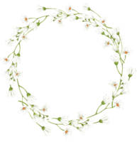 Handdrawn Watercolor Wreath of White Daisy Flowers png