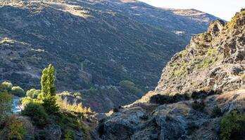 Hills mountains on a sunny clear day good weather covered in bush New Zealand photo