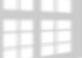 window shadow overlay background design vector