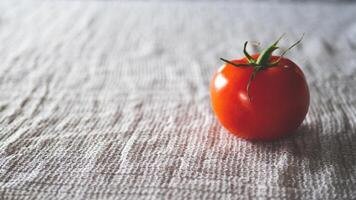 A tomato on fabric light background red simplicity minimalist photo