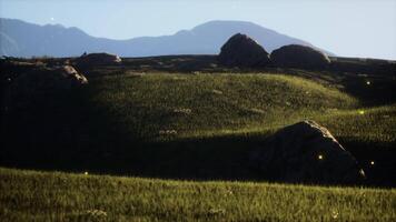 High mountain summer landscape and meadow with huge stones among the grass video