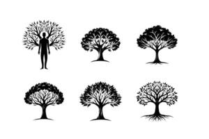Tree Icon Set A Collection of Silhouettes and Intricate Art Designs vector