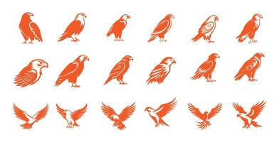 Set of eagle, collection of hawk logo icon isolated on white background vector