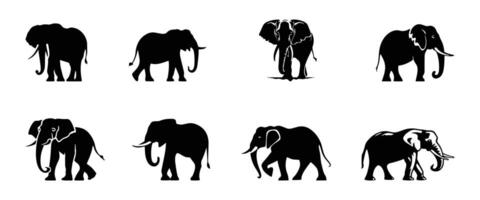 Collection of Elephant different pose, set of elephants logo icon set vector