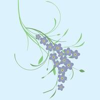A twig of forget me not flowers vector