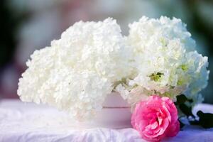 A spring background with a white branch of a blooming hydrangea and a delicate rose on a background of greenery. photo