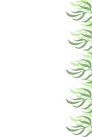 frame of leaves side view on vertical white background. vector
