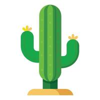 Cactus on White Background vector