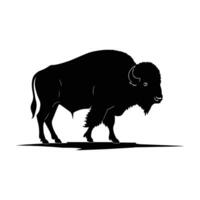 Bold Buffalo Silhouette with Large Horns on White Background vector