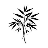 Bamboo Leaf Cluster in Natural Silhouette on White Background vector