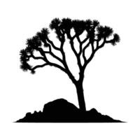 Joshua Tree Silhouette in Desert Profile on White Background vector