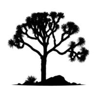 Elegant Joshua Tree Silhouette on Plain White Background vector