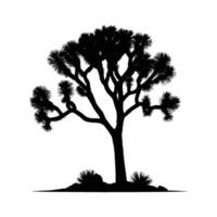 Joshua Tree Silhouette with Detailed Branches on White Background vector