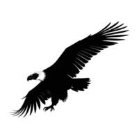 Vulture Silhouette with Wings Folded on White Background vector