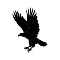 Graceful Vulture Silhouette with Sharp Features on White Background vector