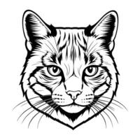 Stylized Scottish Cat Head Silhouette with Bold Outline on White Background vector