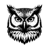 Minimalist Owl Head Silhouette with Sharp Features on White Background vector