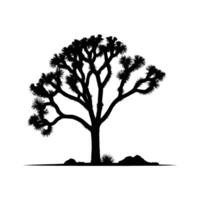 Joshua Tree Silhouette on White Background vector