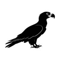 Vulture Silhouette in Side View on White Background vector