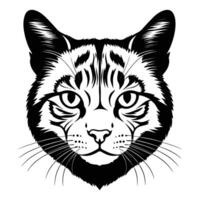 Expressive Scottish Cat Head Silhouette in Profile View on White Background vector