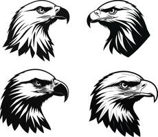 Set of Detailed Eagle Head Silhouette in Side View on White Background vector