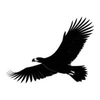 Minimalist Vulture Silhouette Facing Left on White Background vector