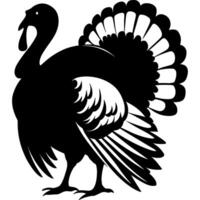 Silhouette of a proud turkey with elegant feathers vector