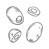 Olive hand drawn sketch set in doodle style vector