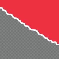 Torn paper on background vector
