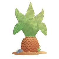 Short Palm tree with thick trunk beach landscape with gradient isolated on white background. cartoon tropical tropical forest palms icon for game design, templates, prints vector