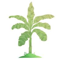 Decorative banana palm on grass beach landscape with gradient isolated on white background. cartoon tropical tropical forest palms icon for game design, templates, prints vector