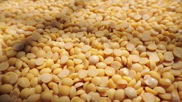 Macro of sliced yellow soy in sunrise, closeup of soybeans seeds, yellow soy bean video