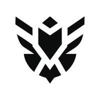 The logo for the team is black and white vector