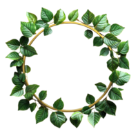 Green Leaves Wreath on Transparent Background png
