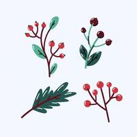 set of plant elements for Christmas and New Year. Fir branches, berries, leaves. Cranberry. vector