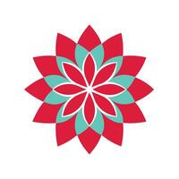 Symmetrical Flower Pattern Collection vector