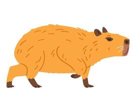 Capybara walking flat illustration isolated on white. vector