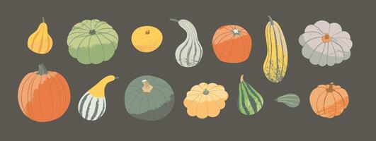 Autumn Harvest set. Pumpkin, squash and gourd in different colors and shapes. Illustration of seasonal vegetables on dark background vector