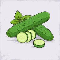 Hand drawn fresh healthy full and sliced green cucumber and green leaves on the background isolated vector